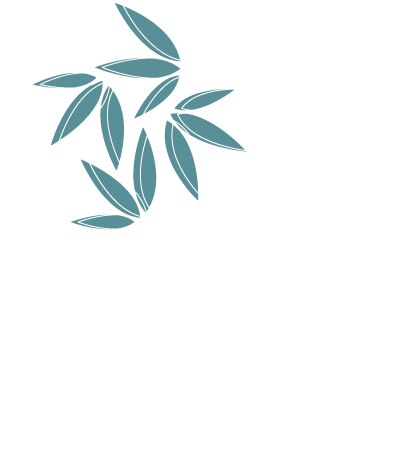 Cosmétiques français à base de bave d'escargot et de CBD